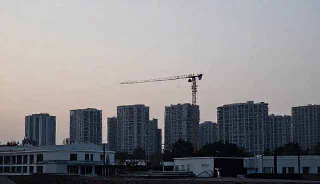 绿化养护选型关注点与适用条件分析